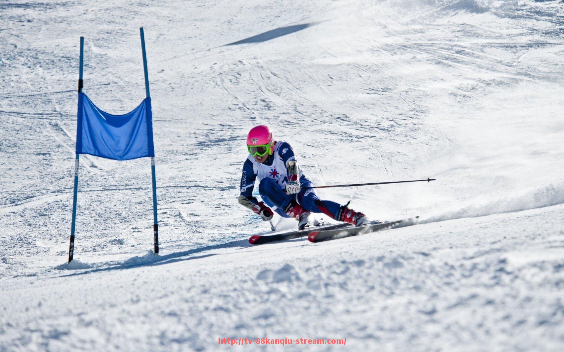 88看球网-世俱杯球鞋中底弹性变化范围图解及运动表现影响研究