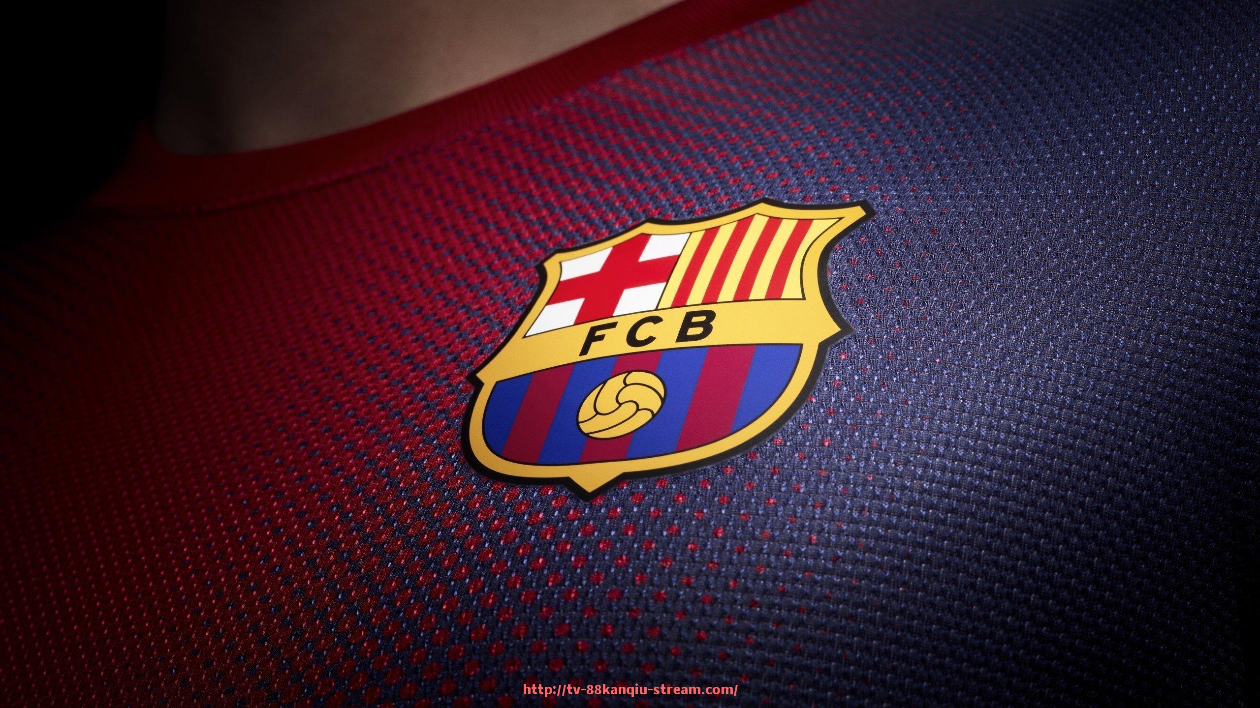 88看球网-如何自制健身器材的步骤与材料建议