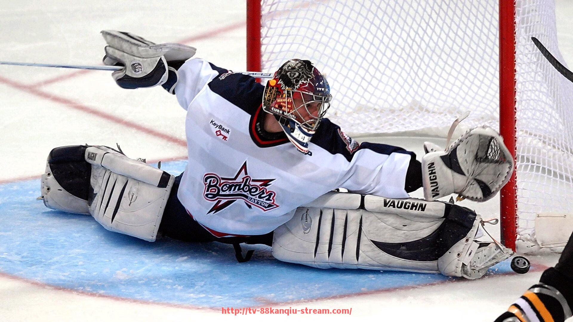 88看球网-广州CBA球队现状及历年参赛情况全面回顾