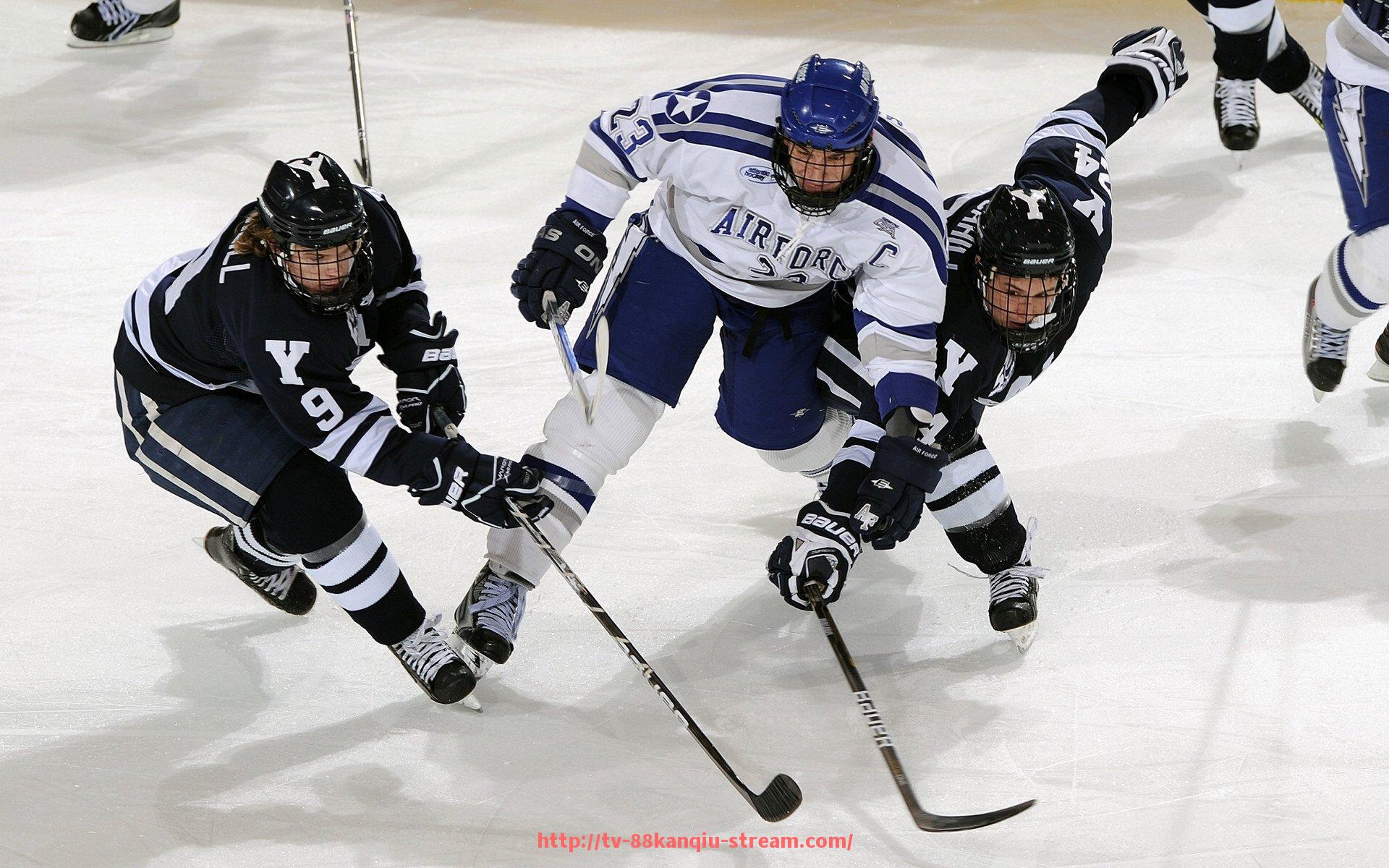 88看球网-洛阳CBA球员的成长故事及训练条件分析